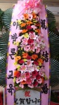 전라남도순천시 꽃배달, 전라남도순천시 꽃집, 전라남도 순천시 중앙로 67-1 꽃집, (저전동) 꽃집, 전라남도 순천시 중앙로 67-1 꽃배달, (저전동)... 
