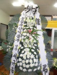해남읍 교육청길 45-3 꽃집, 해남 민들레꽃방 꽃집, 전라남도 해남군 해남읍 교육청길 45-3 꽃배달, 해남 민들레꽃방 꽃배달 - 민들레꽃방... 