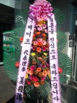경기도양평군 꽃배달, 경기도양평군 꽃집, 경기도 양평군 양평읍 마유산로 71 꽃집, 꽃집, 경기도 양평군 양평읍 마유산로 71 꽃배달, 꽃배달... 