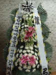 전라남도해남군 꽃배달, 전라남도해남군 꽃집, 전라남도 해남군 해남읍 읍사무소길 17 꽃집, 교육청길 45-3 꽃집, 전라남도 해남군 해남읍... 