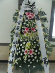 전라남도해남군 꽃배달, 전라남도해남군 꽃집, 전라남도 해남군 해남읍 읍사무소길 17 꽃집, 교육청길 45-3 꽃집, 전라남도 해남군 해남읍... 