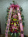 전라남도해남군 꽃배달, 전라남도해남군 꽃집, 전라남도 해남군 해남읍 읍사무소길 17 꽃집, 교육청길 45-3 꽃집, 전라남도 해남군 해남읍... 