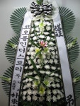 대구광역시달서구 꽃배달, 대구광역시달서구 꽃집, 대구광역시 달서구 월곡로94길 39 꽃집, (월성동) 꽃집, 대구광역시 달서구 월곡로94길 39... 