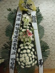 전라남도해남군 꽃배달, 전라남도해남군 꽃집, 전라남도 해남군 해남읍 읍사무소길 17 꽃집, 교육청길 45-3 꽃집, 전라남도 해남군 해남읍... 