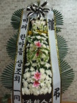 전라남도해남군 꽃배달, 전라남도해남군 꽃집, 전라남도 해남군 해남읍 읍사무소길 17 꽃집, 교육청길 45-3 꽃집, 전라남도 해남군 해남읍... 