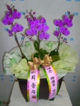 경상북도경주시 꽃배달, 경상북도경주시 꽃집, 경상북도 경주시 용담로 55 꽃집, (황성동) 꽃집, 경상북도 경주시 용담로 55 꽃배달, (황성동)... 