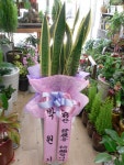 경상남도거제시 꽃배달, 경상남도거제시 꽃집, 경상남도 거제시 두모길 5 꽃집, (두모동) 꽃집, 경상남도 거제시 두모길 5 꽃배달, (두모동)... 