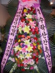 서울특별시노원구 꽃배달, 서울특별시노원구 꽃집, 서울특별시 노원구 중계로8길 20 꽃집, (중계동, 중계현대6차아파트) 102동 904호 꽃집... 