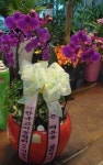 전라북도익산시 꽃배달, 전라북도익산시 꽃집, 전라북도 익산시 선화로13길 63 꽃집, (모현동1가) 꽃집, 전라북도 익산시 선화로13길 63 꽃배달... 