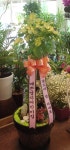 전라북도익산시 꽃배달, 전라북도익산시 꽃집, 전라북도 익산시 선화로13길 63 꽃집, (모현동1가) 꽃집, 전라북도 익산시 선화로13길 63 꽃배달... 