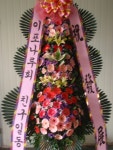 경기도평택시 꽃배달, 경기도평택시 꽃집, 경기도 평택시 안중읍 안현로서9길 181 꽃집, 꽃집, 경기도 평택시 안중읍 안현로서9길 181 꽃배달... 