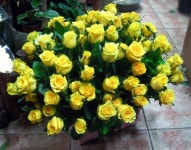 부산광역시남구 꽃배달, 부산광역시남구 꽃집, 부산광역시 남구 지게골로 67 꽃집, (문현동) 꽃집, 부산광역시 남구 지게골로 67 꽃배달, (문현동)... 