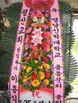 경상북도경산시 꽃배달, 경상북도경산시 꽃집, 경상북도 경산시 하양읍 대학로298길 10 꽃집, 대경화원 꽃집, 경상북도 경산시 하양읍... 