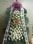 꽃집, 교육청길 45-3 꽃집, 전라남도 해남군 해남읍 읍사무소길 17 꽃배달, 교육청길 45-3 꽃배달 - 민들레꽃방 플라워119꽃배달서비스 - 생일, 개업... 