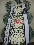 전라남도여수시 꽃배달, 전라남도여수시 꽃집, 전라남도 여수시 도원로 171-1 꽃집, (선원동) 꽃집, 전라남도 여수시 도원로 171-1 꽃배달... 