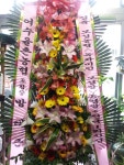 전라남도보성군 꽃배달, 전라남도보성군 꽃집, 전라남도 보성군 조성면 수풍길 6-3 꽃집, 보성예당화원 꽃집, 전라남도 보성군 조성면 수풍길 6-3... 
