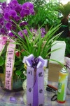 경기도안산시 상록구 꽃배달, 경기도안산시 상록구 꽃집, 경기도 안산시 상록구 충장로 384-2 꽃집, (이동) 꽃집, 경기도 안산시 상록구 충장로 384... 