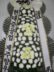 제주특별자치도서귀포시 꽃배달, 제주특별자치도서귀포시 꽃집, 제주특별자치도 서귀포시 일주동로 8718 꽃집, (서홍동) 꽃집, 제주특별자치도... 