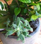 부산광역시남구 꽃배달, 부산광역시남구 꽃집, 부산광역시 남구 지게골로 67 꽃집, (문현동) 꽃집, 부산광역시 남구 지게골로 67 꽃배달, (문현동)... 