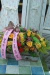 경상남도통영시 꽃배달, 경상남도통영시 꽃집, 경상남도 통영시 무전7길 186 꽃집, 금자빌딩 102호(무전동) 꽃집, 경상남도 통영시 무전7길 186... 
