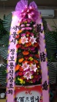 전라남도순천시 꽃배달, 전라남도순천시 꽃집, 전라남도 순천시 중앙로 67-1 꽃집, (저전동) 꽃집, 전라남도 순천시 중앙로 67-1 꽃배달, (저전동)... 
