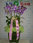 경상북도경주시 꽃배달, 경상북도경주시 꽃집, 경상북도 경주시 용담로 55 꽃집, (황성동) 꽃집, 경상북도 경주시 용담로 55 꽃배달, (황성동)... 