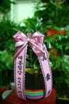 경상북도영덕군 꽃배달, 경상북도영덕군 꽃집, 경상북도 영덕군 영해면 예주시장3길 3 꽃집, 꽃집, 경상북도 영덕군 영해면 예주시장3길 3...