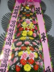 제주특별자치도서귀포시 꽃배달, 제주특별자치도서귀포시 꽃집, 제주특별자치도 서귀포시 일주동로 8718 꽃집, (서홍동) 꽃집, 제주특별자치도... 