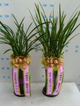 경상북도경주시 꽃배달, 경상북도경주시 꽃집, 경상북도 경주시 용담로 55 꽃집, (황성동) 꽃집, 경상북도 경주시 용담로 55 꽃배달, (황성동)... 