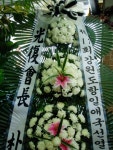 강원도춘천시 꽃배달, 강원도춘천시 꽃집, 강원도 춘천시 충열로 10-3 꽃집, (우두동) 꽃집, 강원도 춘천시 충열로 10-3 꽃배달, (우두동) 꽃배달... 