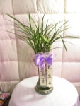 서울특별시노원구 꽃배달, 서울특별시노원구 꽃집, 서울특별시 노원구 중계로8길 20 꽃집, (중계동, 중계현대6차아파트) 102동 904호 꽃집... 