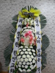 전라남도해남군 꽃배달, 전라남도해남군 꽃집, 전라남도 해남군 해남읍 읍사무소길 17 꽃집, 교육청길 45-3 꽃집, 전라남도 해남군 해남읍... 