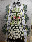 전라남도해남군 꽃배달, 전라남도해남군 꽃집, 전라남도 해남군 해남읍 읍사무소길 17 꽃집, 교육청길 45-3 꽃집, 전라남도 해남군 해남읍... 