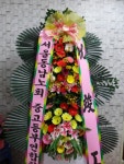 전라남도해남군 꽃배달, 전라남도해남군 꽃집, 전라남도 해남군 해남읍 읍사무소길 17 꽃집, 교육청길 45-3 꽃집, 전라남도 해남군 해남읍... 