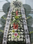 대구광역시달서구 꽃배달, 대구광역시달서구 꽃집, 대구광역시 달서구 월곡로94길 39 꽃집, (월성동) 꽃집, 대구광역시 달서구 월곡로94길 39... 
