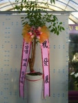 경상북도경주시 꽃배달, 경상북도경주시 꽃집, 경상북도 경주시 용담로 55 꽃집, (황성동) 꽃집, 경상북도 경주시 용담로 55 꽃배달, (황성동)... 