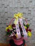 전라남도해남군 꽃배달, 전라남도해남군 꽃집, 전라남도 해남군 해남읍 읍사무소길 17 꽃집, 교육청길 45-3 꽃집, 전라남도 해남군 해남읍... 