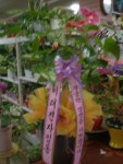 경상북도경산시 꽃배달, 경상북도경산시 꽃집, 경상북도 경산시 경안로 201 꽃집, (중방동) 꽃집, 경상북도 경산시 경안로 201 꽃배달, (중방동)... 