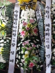 전라남도보성군 꽃배달, 전라남도보성군 꽃집, 전라남도 보성군 조성면 수풍길 6-3 꽃집, 보성예당화원 꽃집, 전라남도 보성군 조성면 수풍길 6-3... 