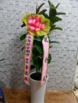 꽃집, 교육청길 45-3 꽃집, 전라남도 해남군 해남읍 읍사무소길 17 꽃배달, 교육청길 45-3 꽃배달 - 민들레꽃방 플라워119꽃배달서비스 - 생일, 개업... 