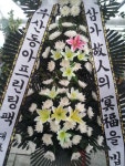 경기도화성시 꽃배달, 경기도화성시 꽃집, 경기도 화성시 봉담읍 삼천병마로 818 꽃집, 실내조경미가 꽃집, 경기도 화성시 봉담읍 삼천병마로 818... 