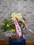 전라남도해남군 꽃배달, 전라남도해남군 꽃집, 전라남도 해남군 해남읍 읍사무소길 17 꽃집, 교육청길 45-3 꽃집, 전라남도 해남군 해남읍... 