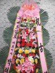 전라남도해남군 꽃배달, 전라남도해남군 꽃집, 전라남도 해남군 해남읍 읍사무소길 17 꽃집, 교육청길 45-3 꽃집, 전라남도 해남군 해남읍... 