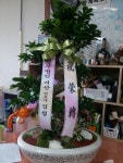 경기도포천시 꽃배달, 경기도포천시 꽃집, 경기도 포천시 호국로 912 꽃집, (설운동) 꽃집, 경기도 포천시 호국로 912 꽃배달, (설운동) 꽃배달... 