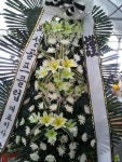 경기도화성시 꽃배달, 경기도화성시 꽃집, 경기도 화성시 봉담읍 삼천병마로 818 꽃집, 실내조경미가 꽃집, 경기도 화성시 봉담읍 삼천병마로 818... 