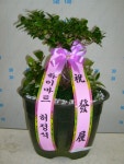경상북도경주시 꽃배달, 경상북도경주시 꽃집, 경상북도 경주시 용담로 55 꽃집, (황성동) 꽃집, 경상북도 경주시 용담로 55 꽃배달, (황성동)... 