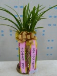 경상북도경주시 꽃배달, 경상북도경주시 꽃집, 경상북도 경주시 용담로 55 꽃집, (황성동) 꽃집, 경상북도 경주시 용담로 55 꽃배달, (황성동)... 