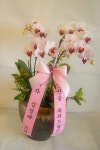 경상남도통영시 꽃배달, 경상남도통영시 꽃집, 경상남도 통영시 무전7길 186 꽃집, 금자빌딩 102호(무전동) 꽃집, 경상남도 통영시 무전7길 186... 