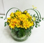 대구광역시서구 꽃배달, 대구광역시서구 꽃집, 대구광역시 서구 평리로 277 꽃집, (평리동) 꽃집, 대구광역시 서구 평리로 277 꽃배달, (평리동)... 