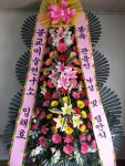 전라남도보성군 꽃배달, 전라남도보성군 꽃집, 전라남도 보성군 조성면 수풍길 6-3 꽃집, 보성예당화원 꽃집, 전라남도 보성군 조성면 수풍길 6-3... 